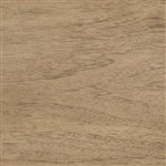 Italian Walnut